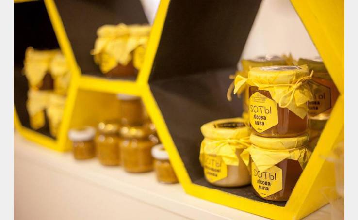 ЕкоФест, 2015 image-7