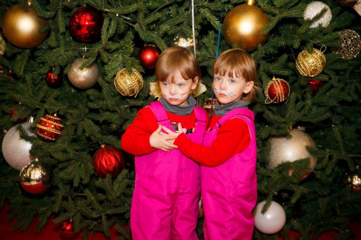 Opening of the Christmas tree image-5