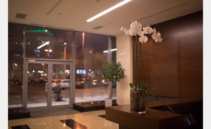 Biz Gulliver image-2