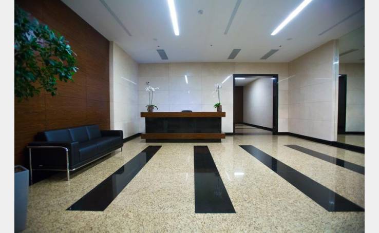 Biz Gulliver image-6