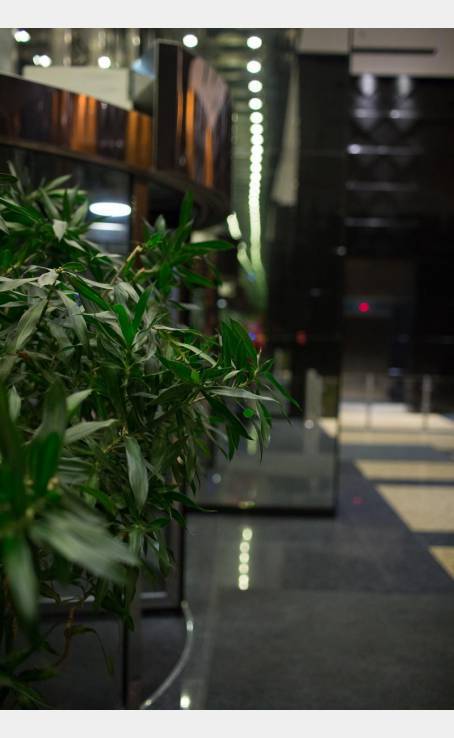 Biz Gulliver image-12