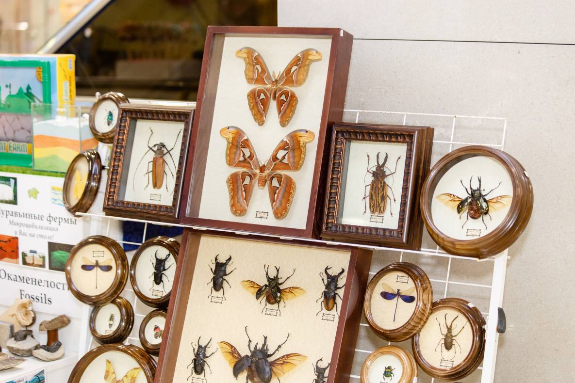 Easter – 2017 image-63