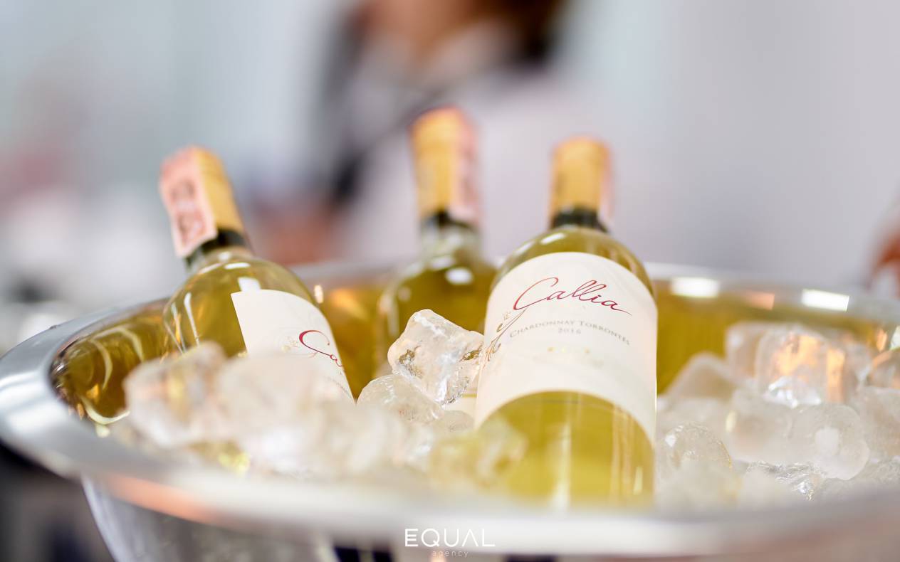 Открытие клиники Заблоцкого image-38