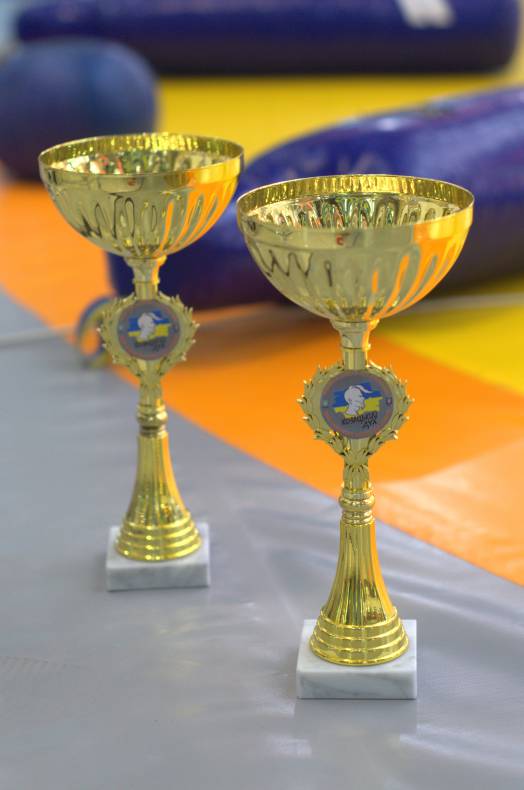 Greco-Roman wrestling day at the SEC Gulliver image-2