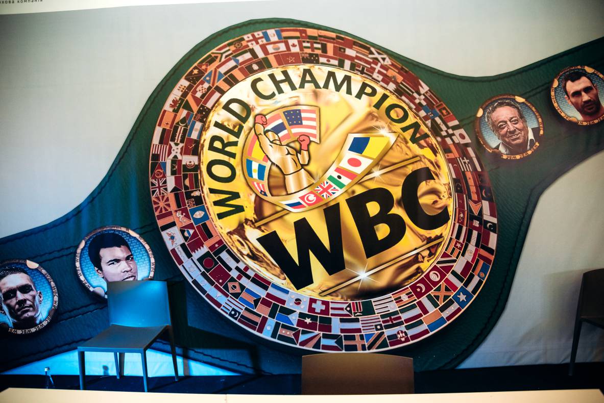 Зустріч з легендами світового боксу — Холіфілдом, Льюїсом та Кличком image-204