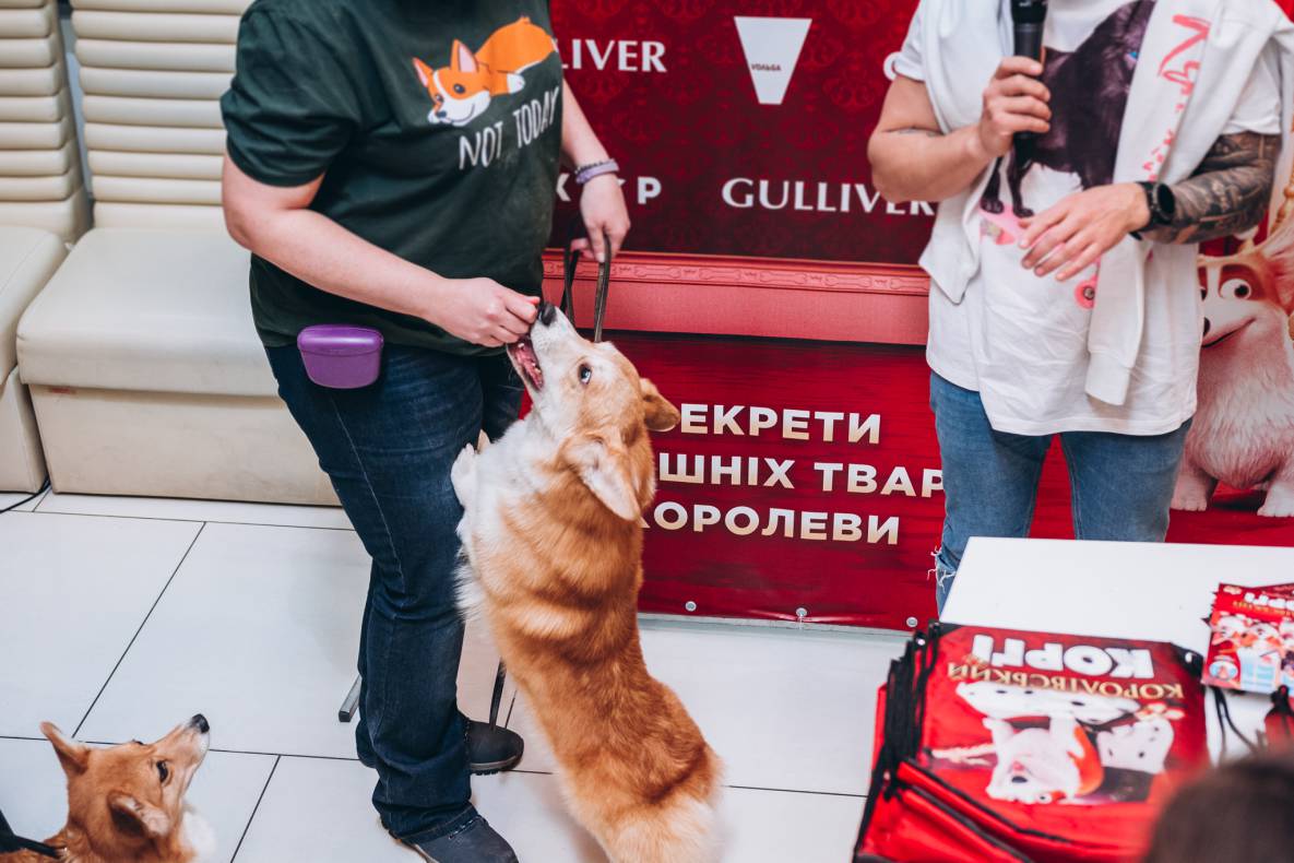 Автограф-сесія з Олександром Педаном "Коргі" image-160