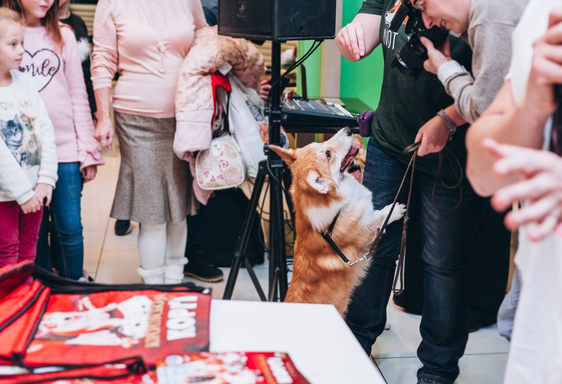 Автограф-сесія з Олександром Педаном "Коргі" image-164