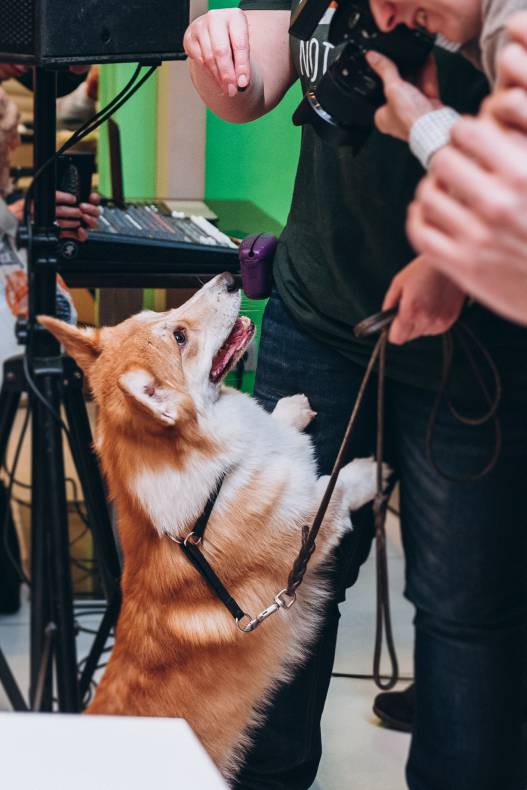 Автограф-сесія з Олександром Педаном "Коргі" image-75