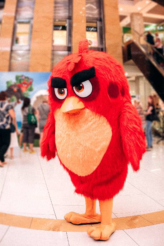 Sonia Plakdyuk&#039;s autograph session — Angry Birds 2 image-26