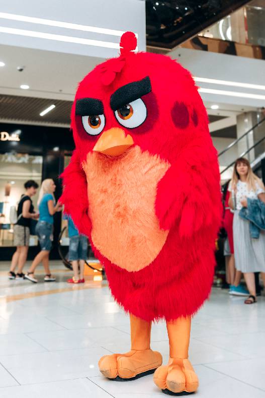 Sonia Plakdyuk&#039;s autograph session — Angry Birds 2 image-81