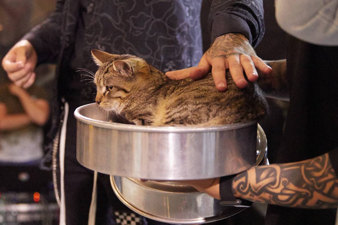 MAGIC FIVE fan meeting image-83