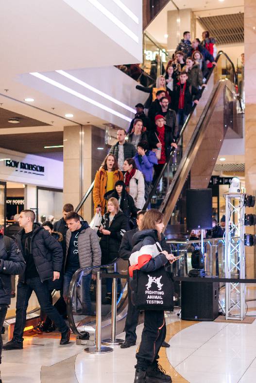 Чорна п&#039;ятниця 2019 — LAUD, автограф-сесія Євгена Кота і Ксенії Мішиной image-4