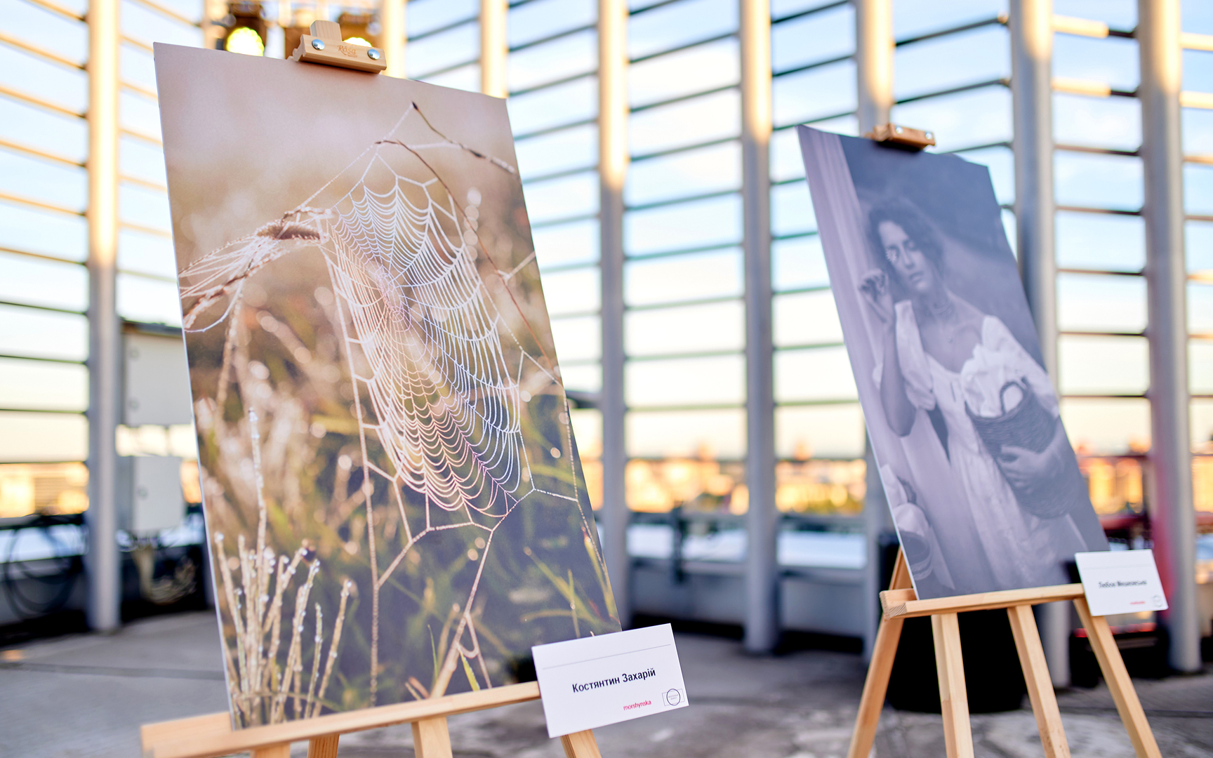 Презентація виставки “ПРИРОДА ТВОЇХ КАРПАТ”  image-10