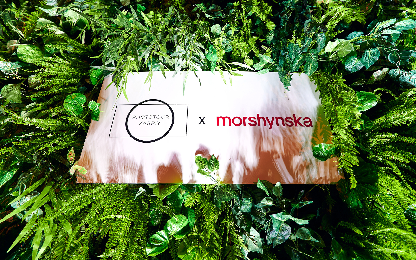 Презентація виставки “ПРИРОДА ТВОЇХ КАРПАТ”  image-18