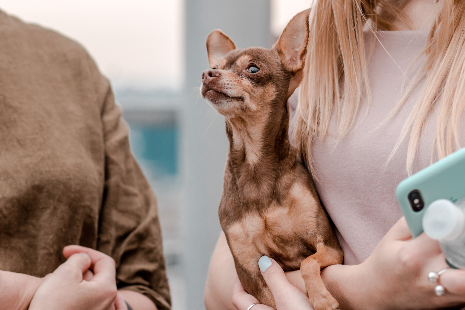 Фото с экскурсий на крыше - 26.07.2020 с 20:00 (Юлия Богачова) image-79