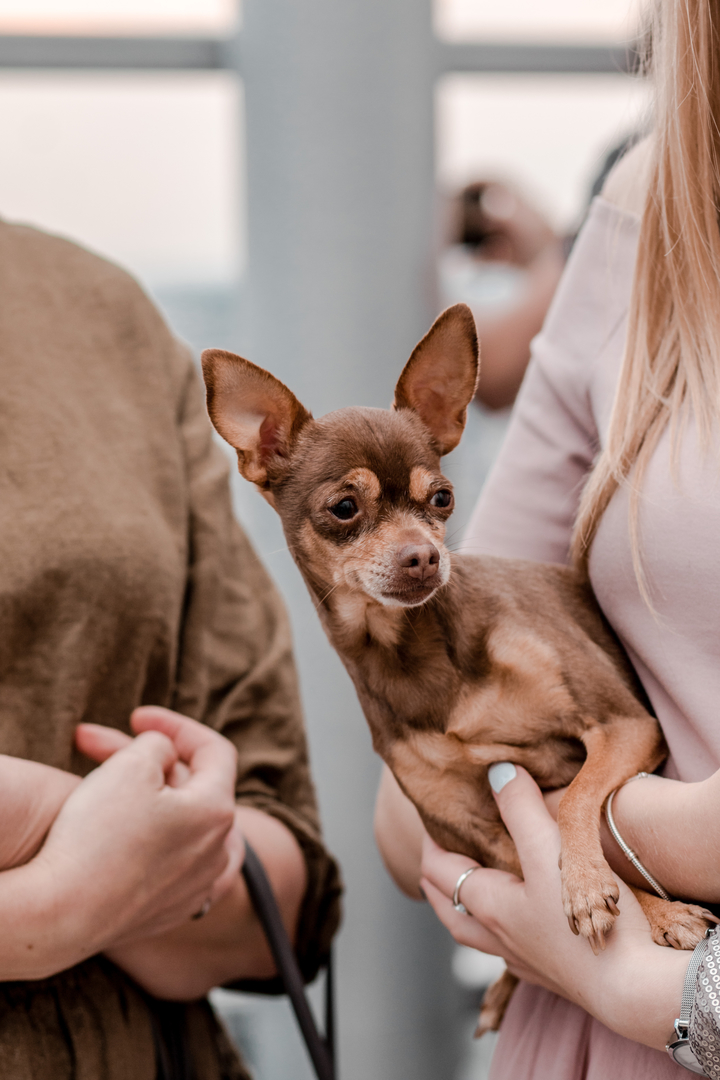 Фото с экскурсий на крыше - 26.07.2020 с 20:00 (Юлия Богачова) image-80