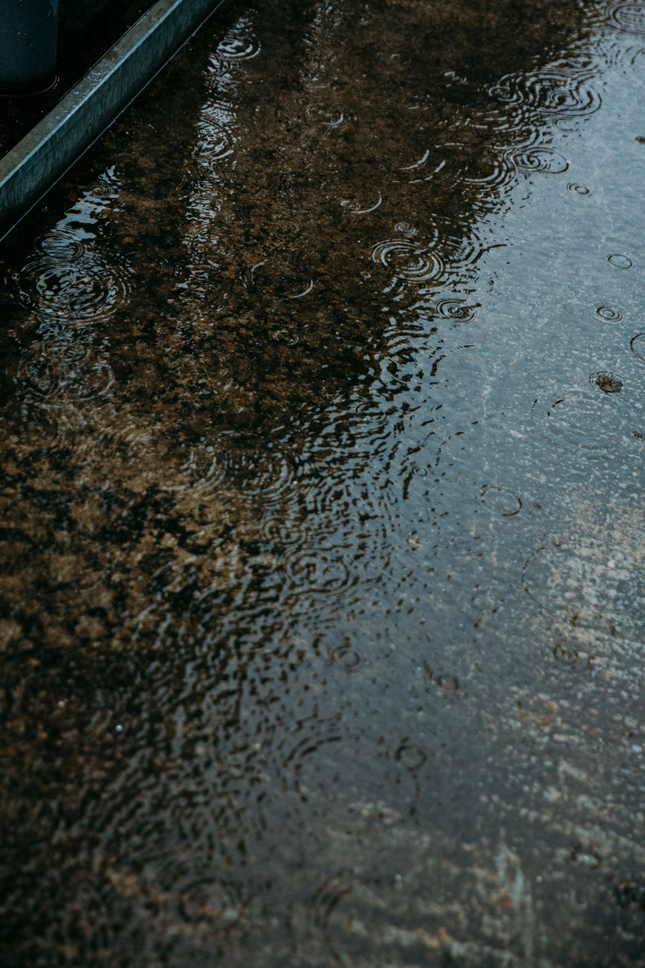 Фото с экскурсий на крыше - 25.07.2020 с 19:00 (Андрей Проць) image-137