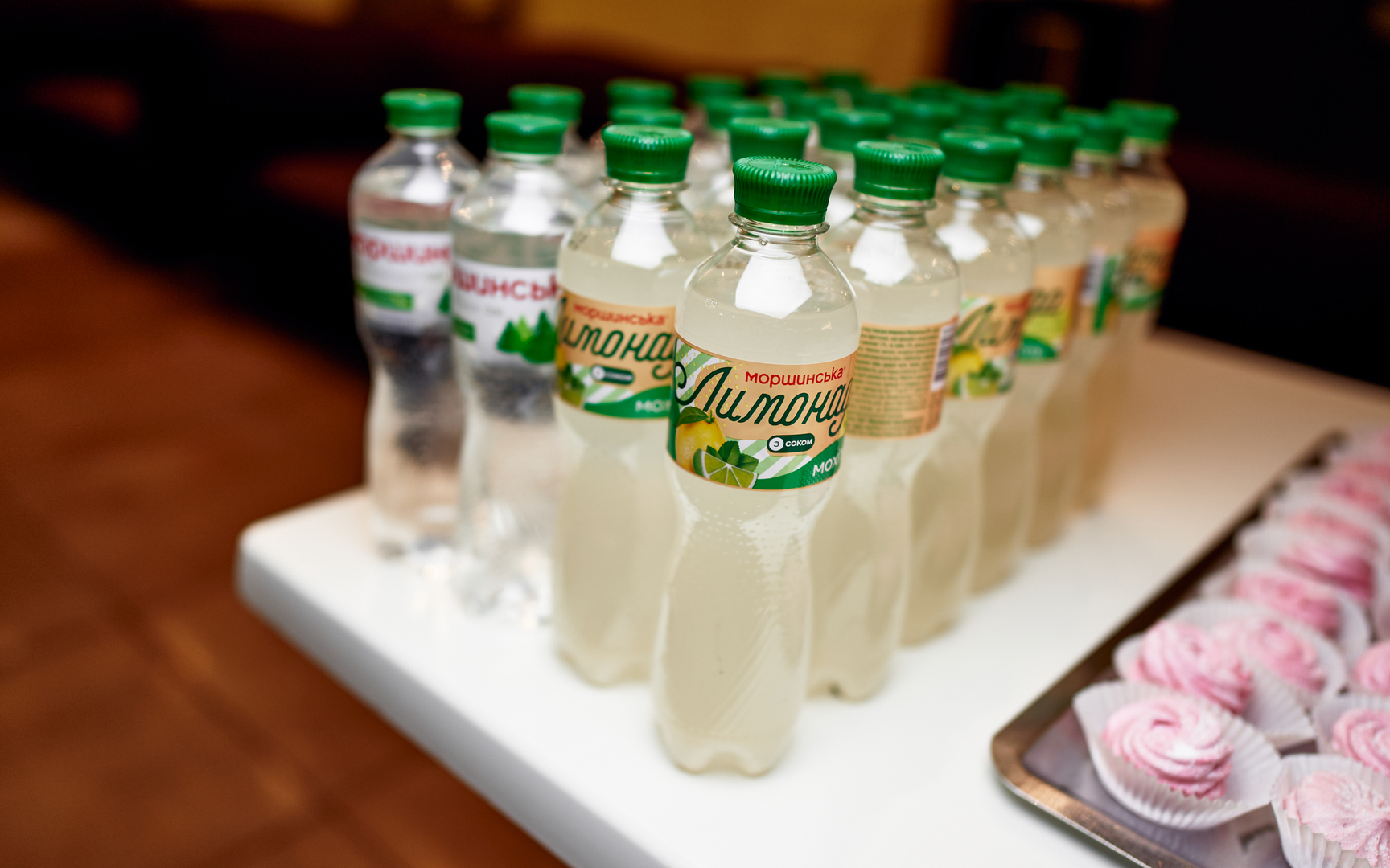 Гала-презентацію проєкту «Книга-мандрівка. Міста» image-29