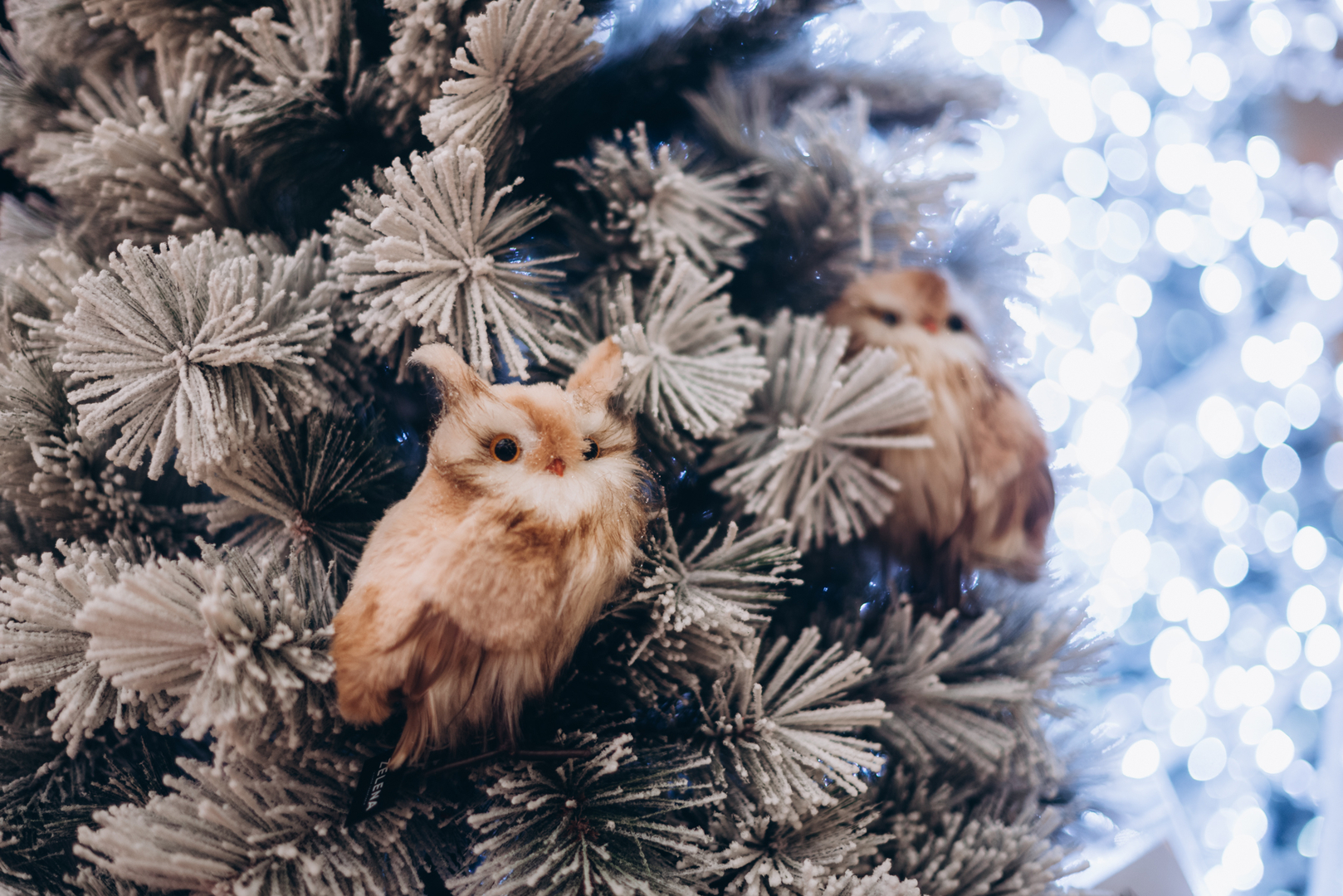 New Year&#039;s decor 2024 in the Gulliver shopping center image-12