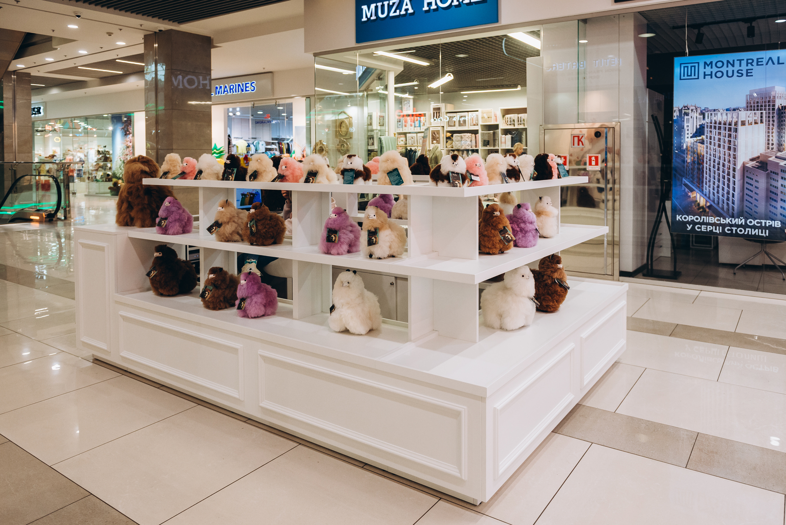Shop