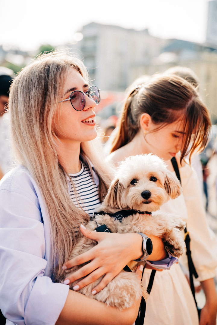 ATLAS ФЕСТИВАЛЬ ПЕРЕМОГИ image-5