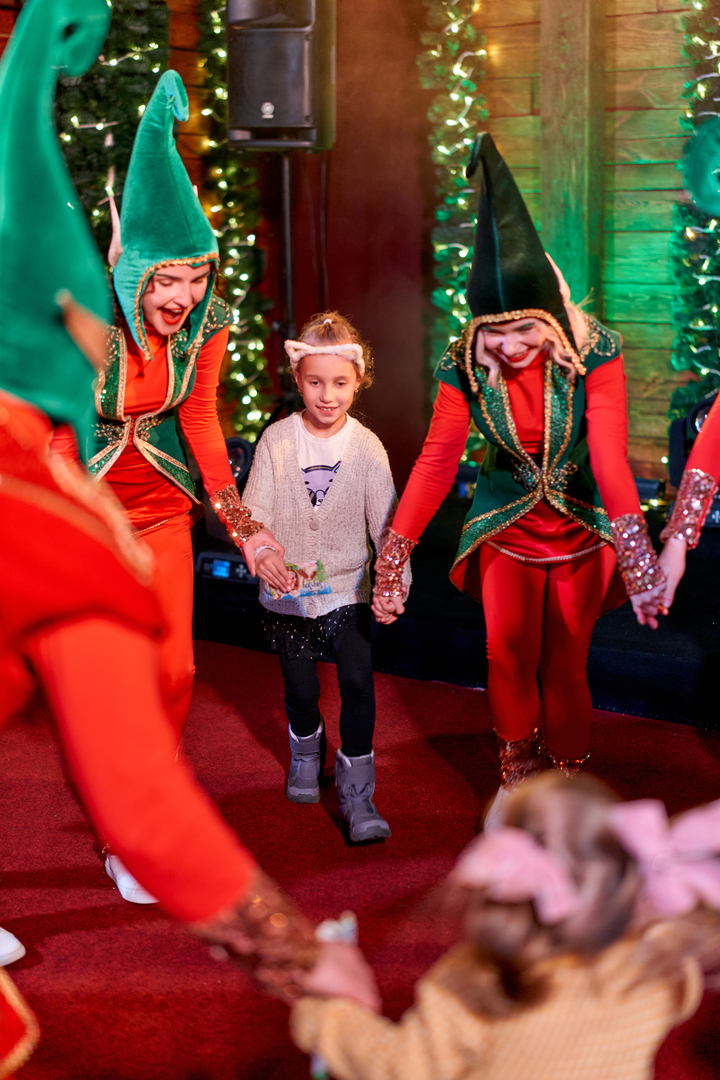 Відкриття &quot;Резиденція Санти&quot; image-21