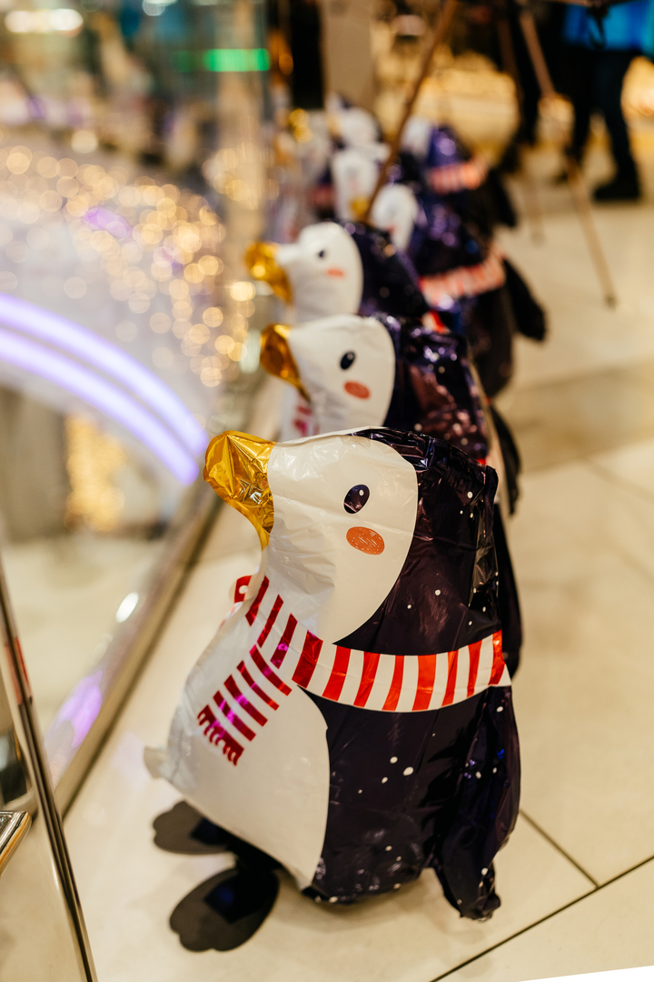 Фотовиставка &quot;Україна в Антарктиці: дослідження та незламність&quot; image-2