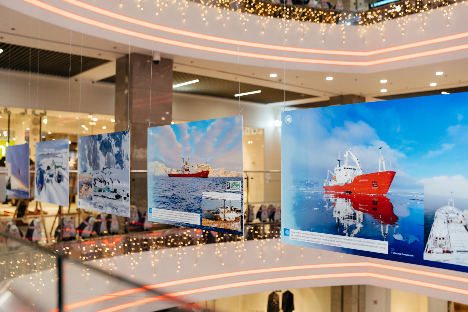 Фотовиставка &quot;Україна в Антарктиці: дослідження та незламність&quot; image-19