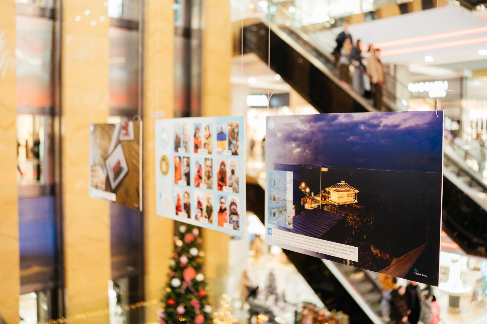 Фотовиставка &quot;Україна в Антарктиці: дослідження та незламність&quot; image-35