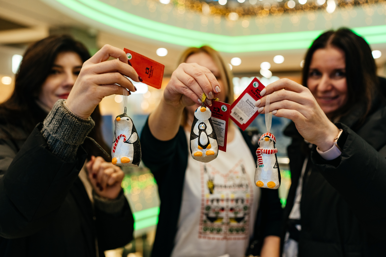 Фотовиставка &quot;Україна в Антарктиці: дослідження та незламність&quot; image-36