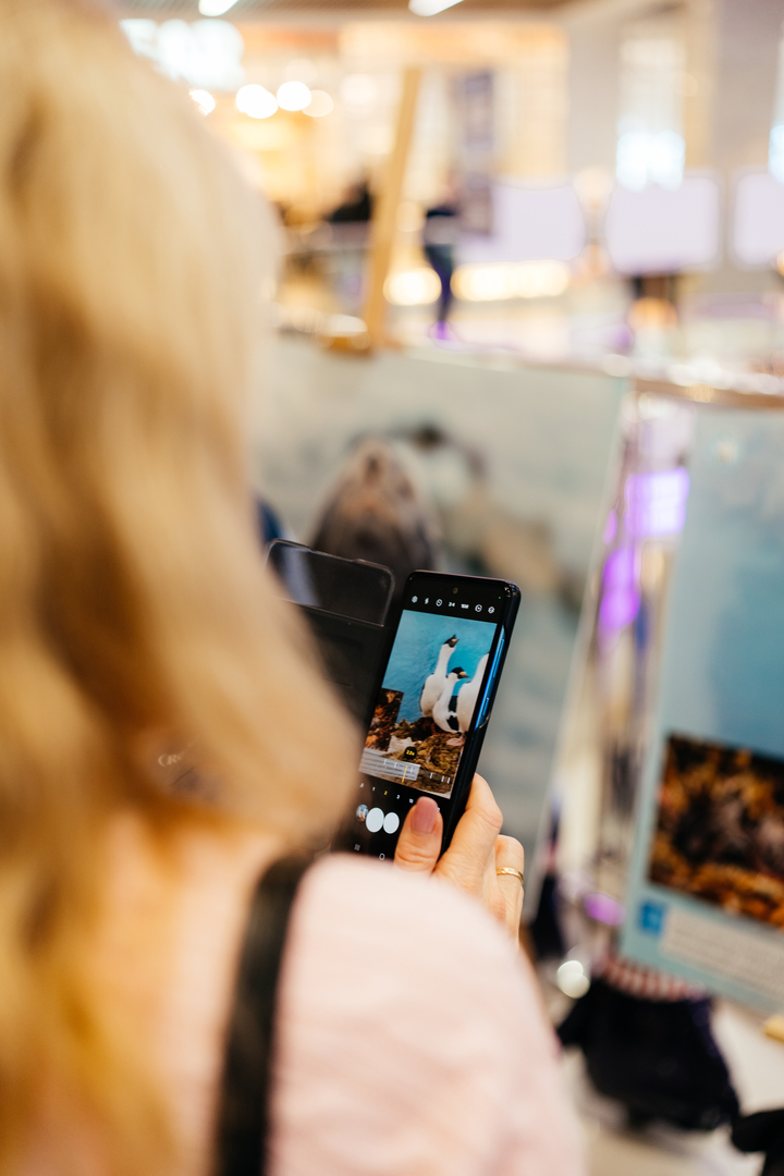 Фотовиставка &quot;Україна в Антарктиці: дослідження та незламність&quot; image-39