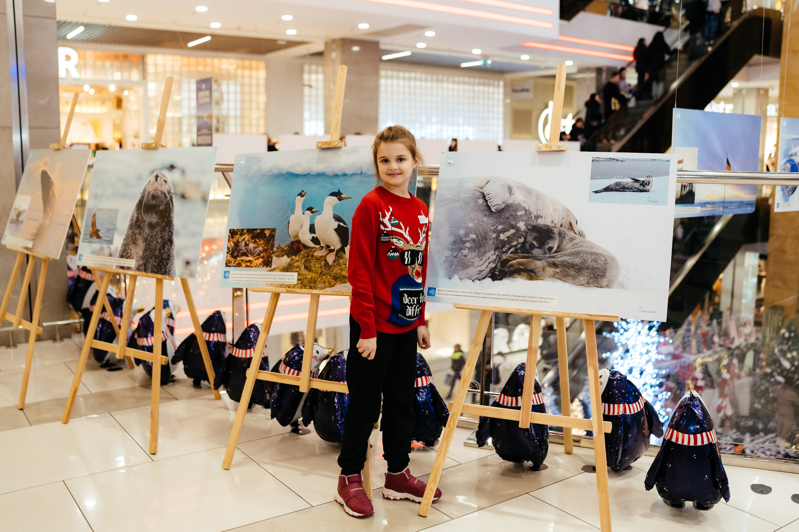 Фотовиставка &quot;Україна в Антарктиці: дослідження та незламність&quot; image-63