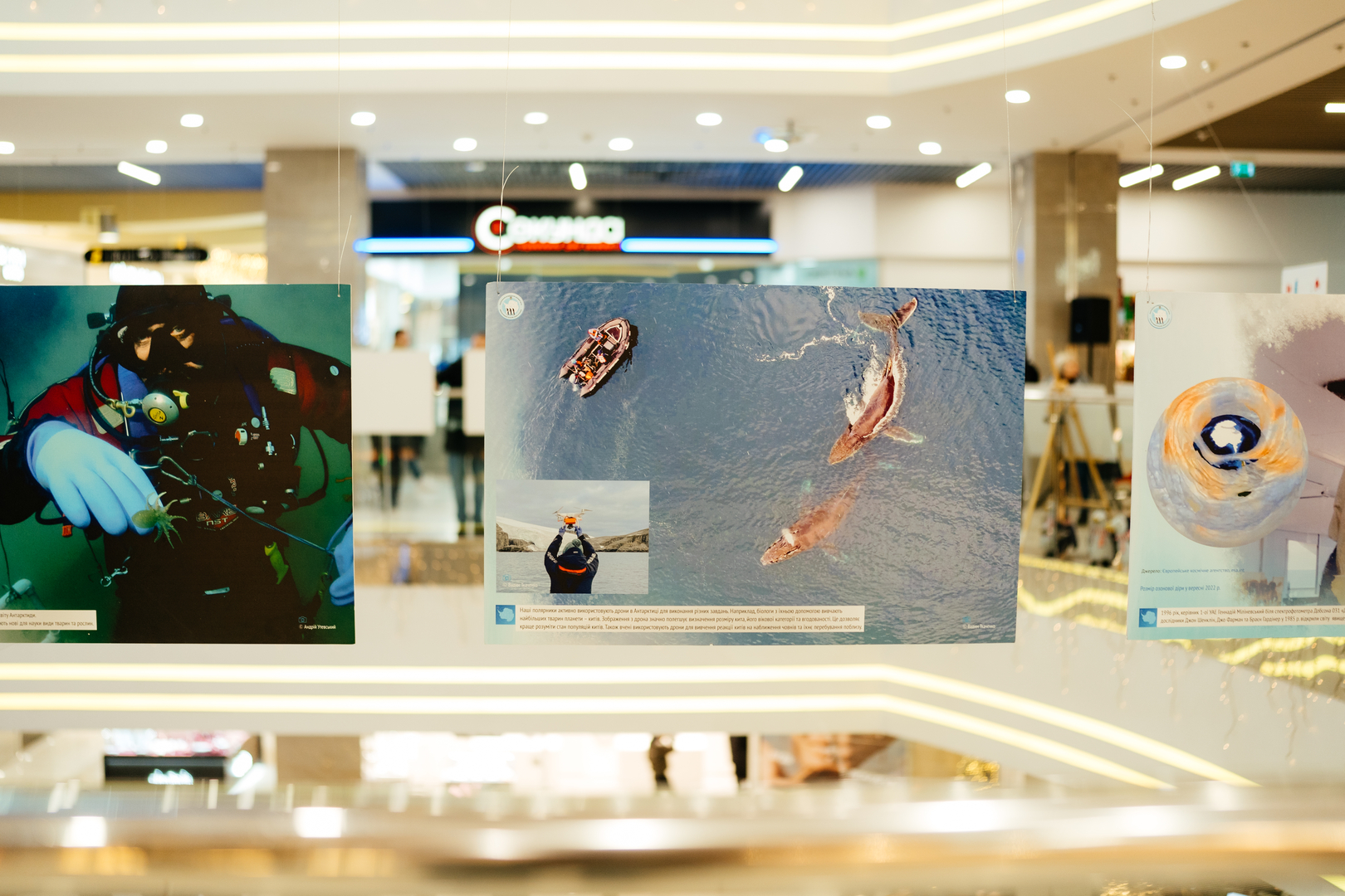 Фотовиставка &quot;Україна в Антарктиці: дослідження та незламність&quot; image-69