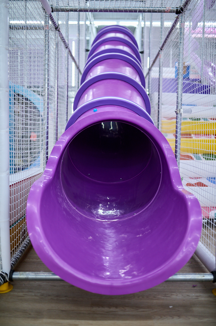 Opening Papashon Kids image-233