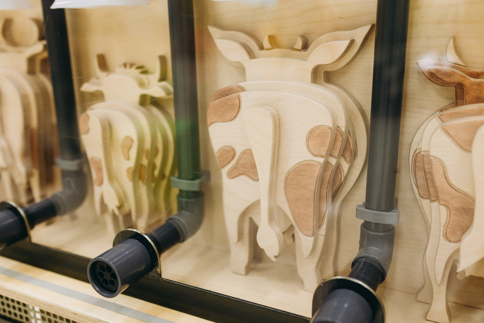 Відкрий портал у науку 2.0 image-74