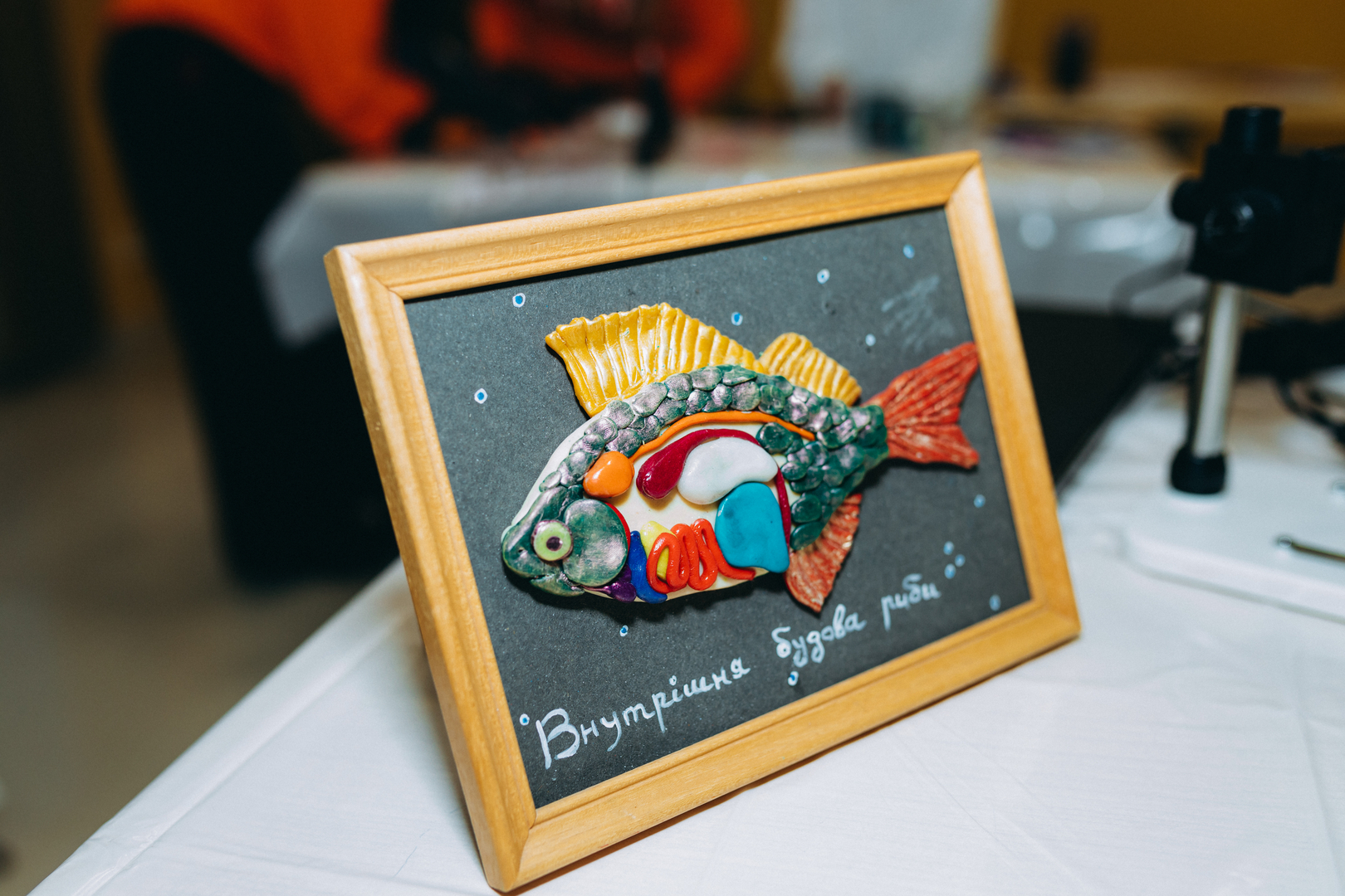 Відкрий портал у науку 2.0 image-109