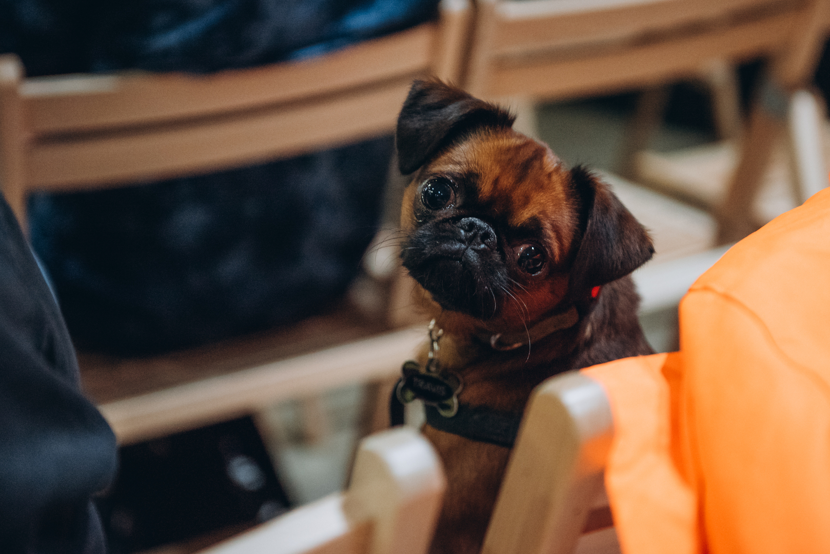 Лекція «Як відновлювати сили сьогодні» image-0