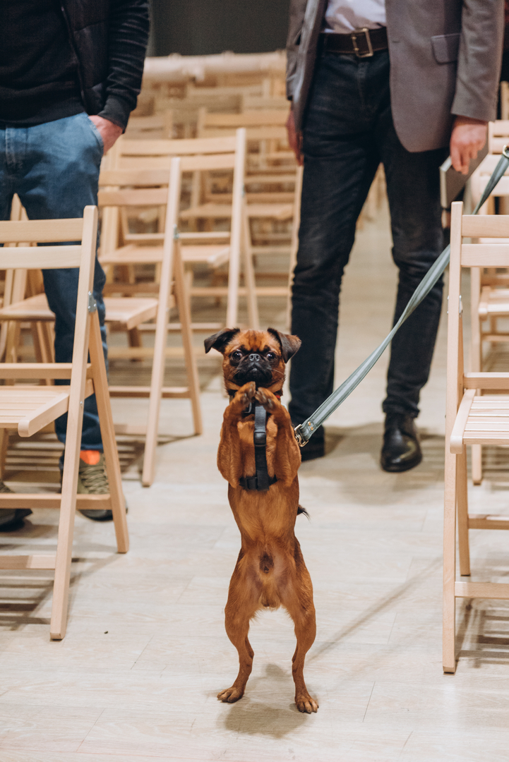 Лекція «Як відновлювати сили сьогодні» image-48