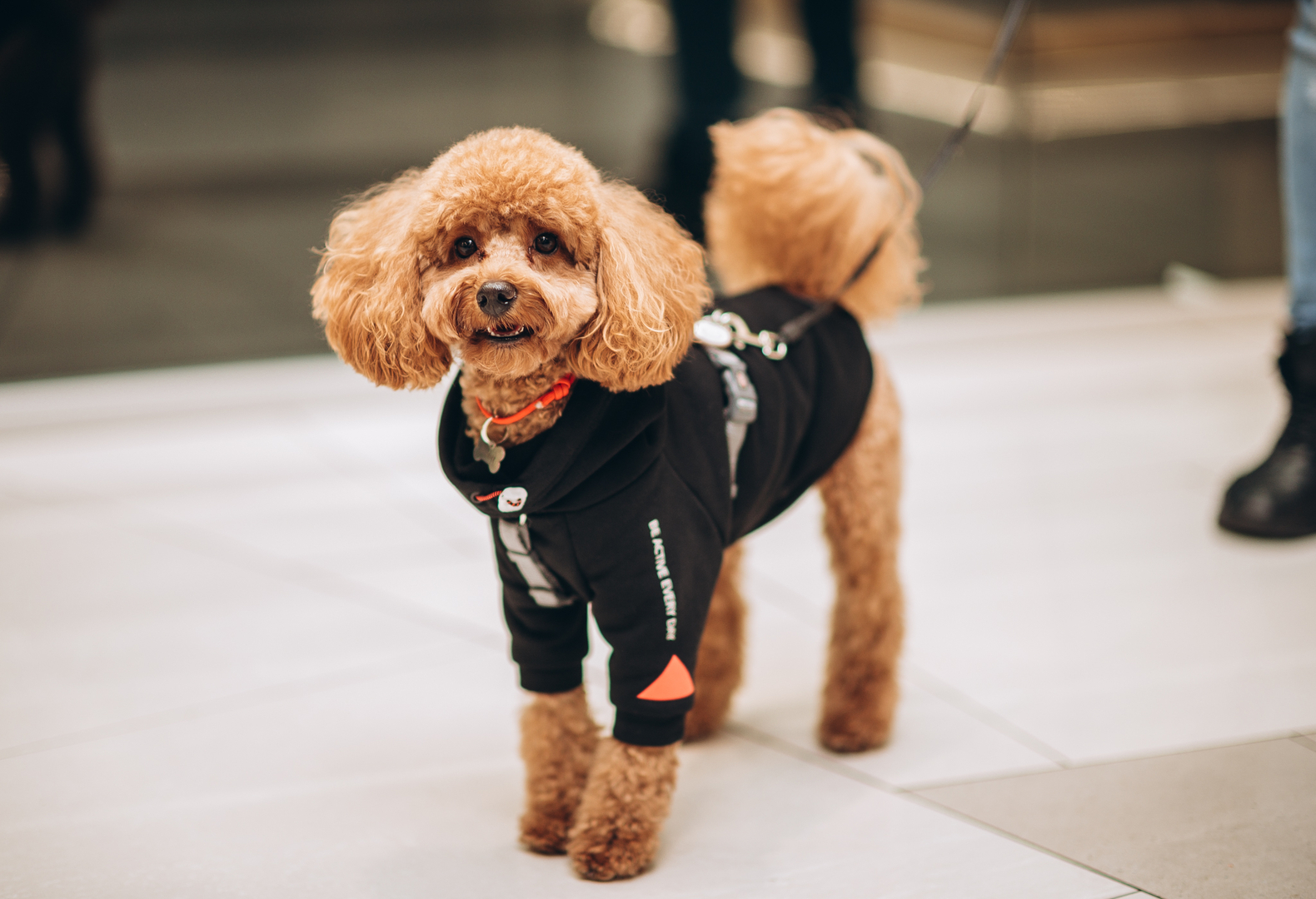  День Народження ТРЦ Gulliver 2023 (2 частина) image-103