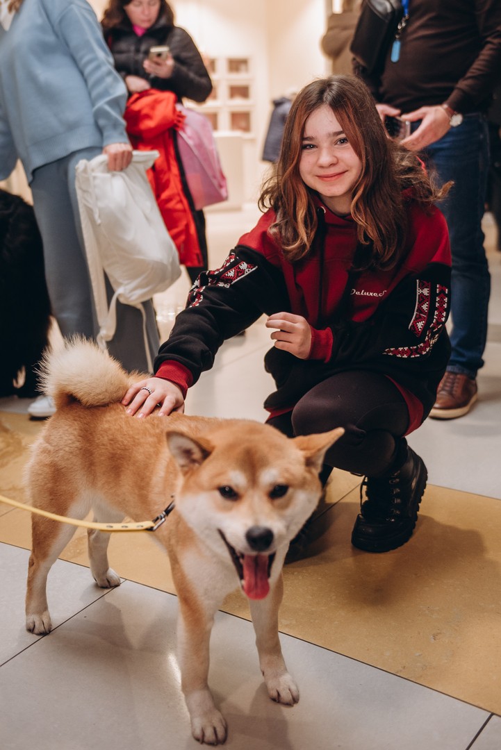 Теплі покази S Миколая в укритті image-55