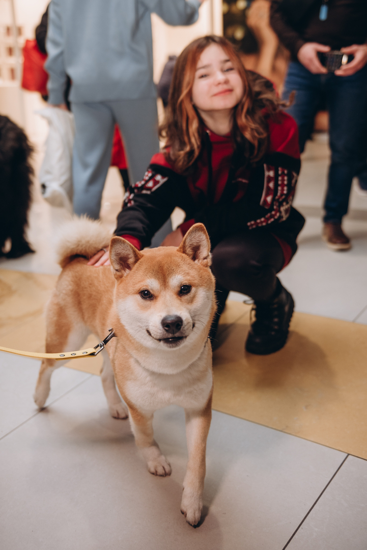 Теплі покази S Миколая в укритті image-56