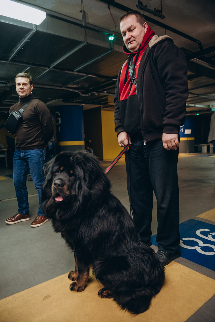 Теплі покази S Миколая в укритті image-66