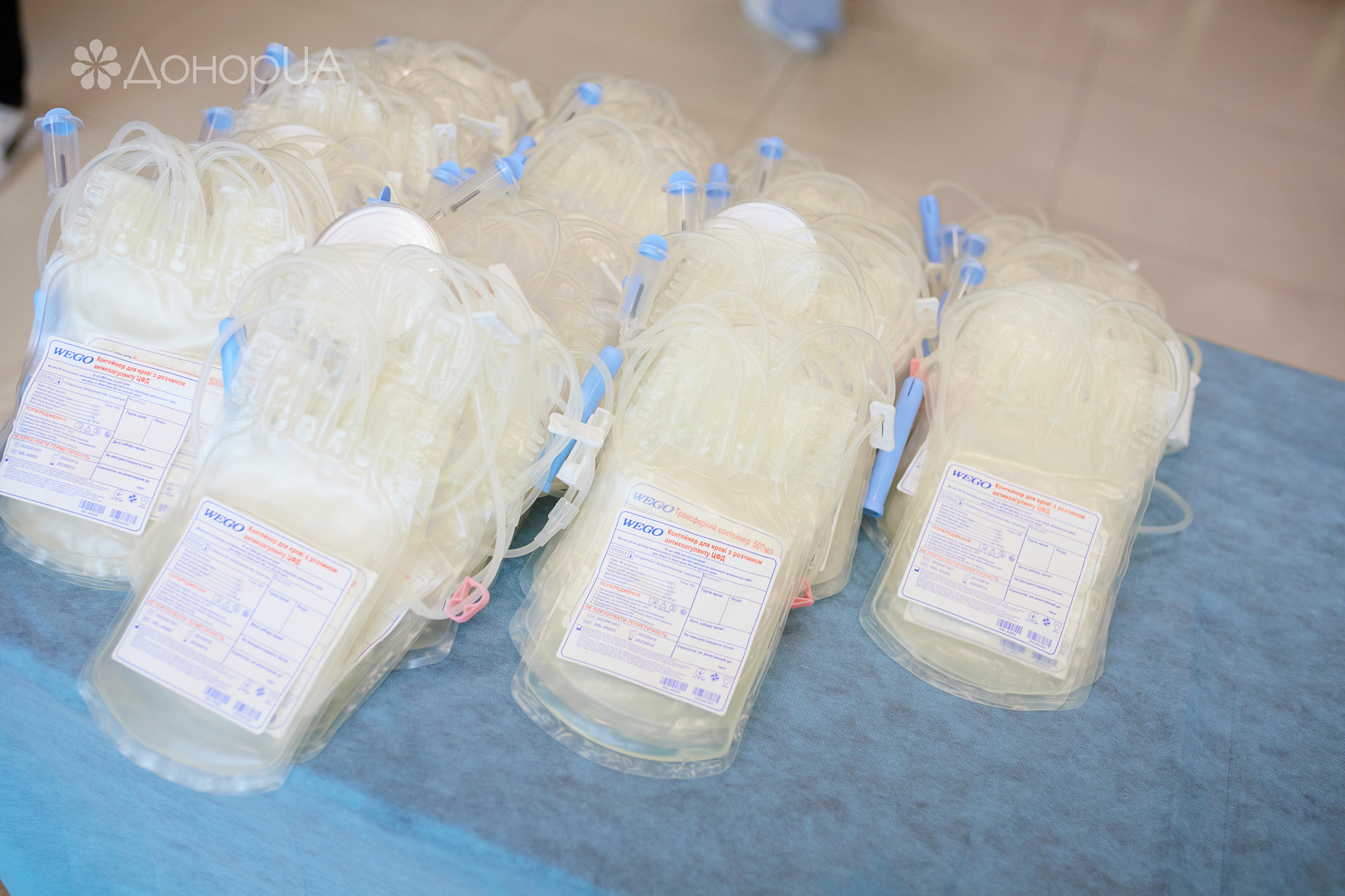 Всесвітній день донора image-23