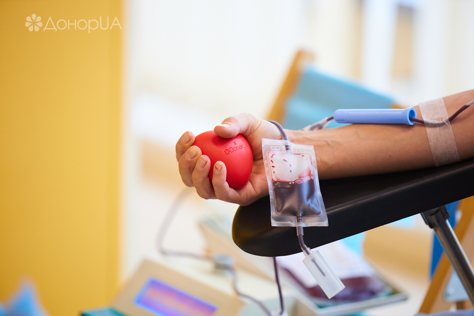 Всесвітній день донора image-50