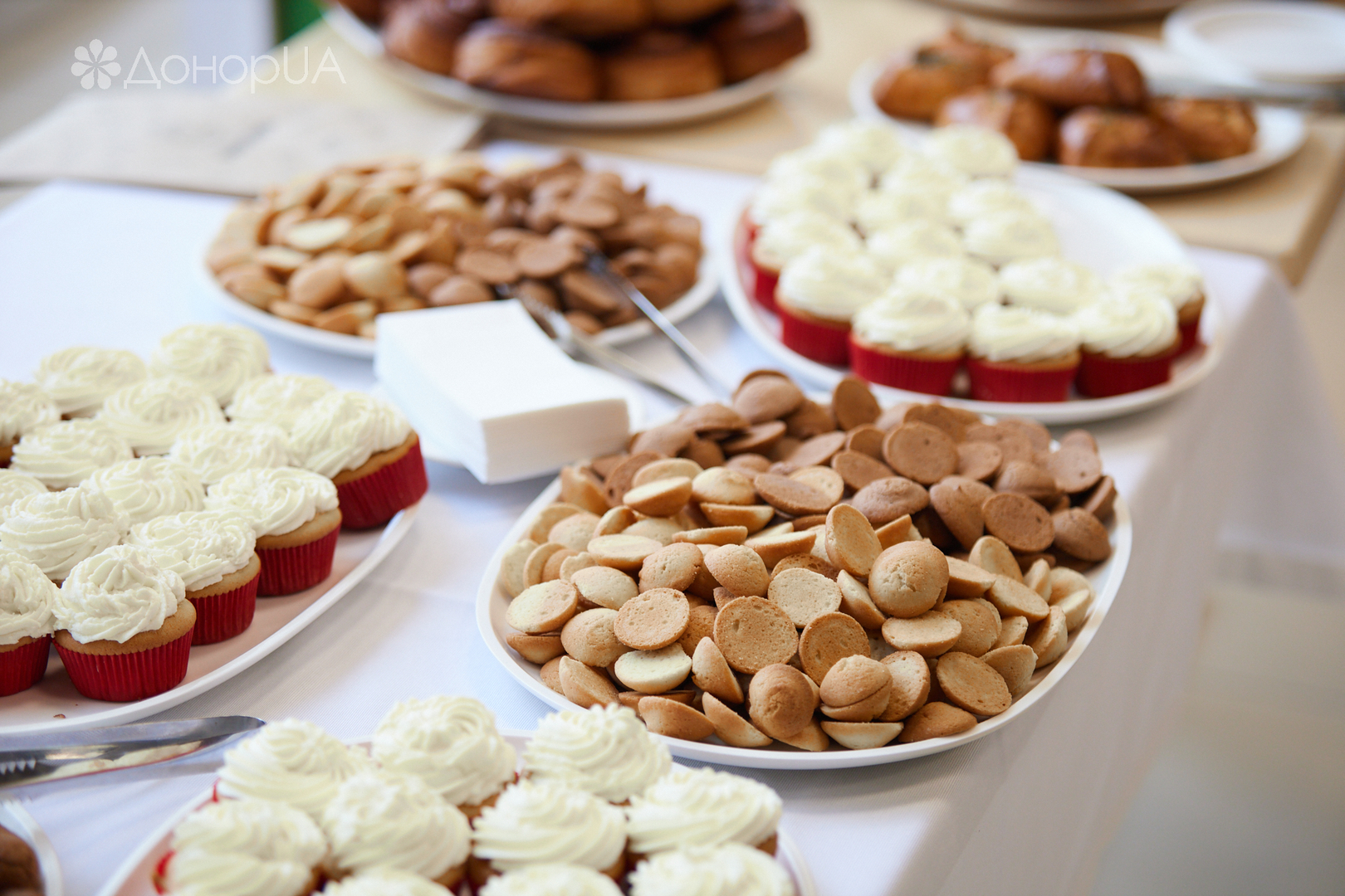 Всесвітній день донора image-58