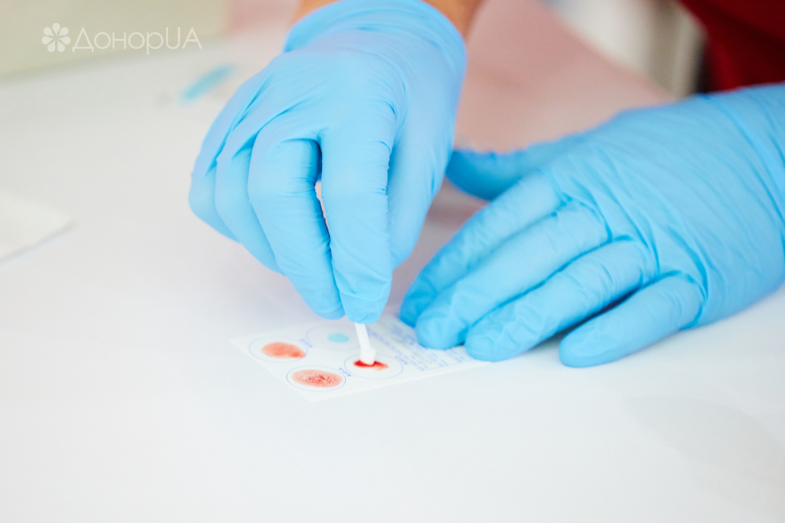 Всесвітній день донора image-131