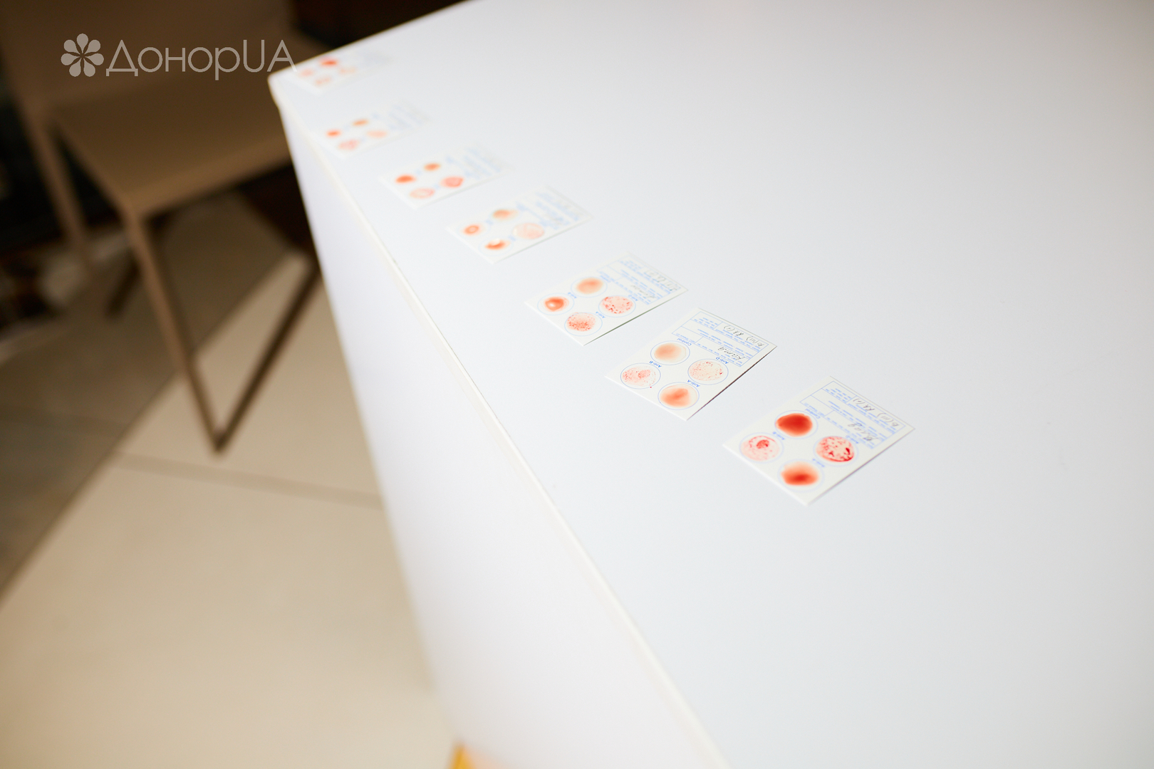 Всесвітній день донора image-133