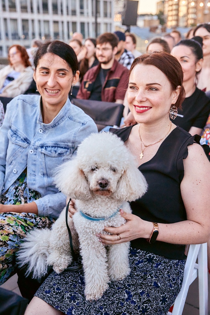 Підпільний на даху Gulliver image-288