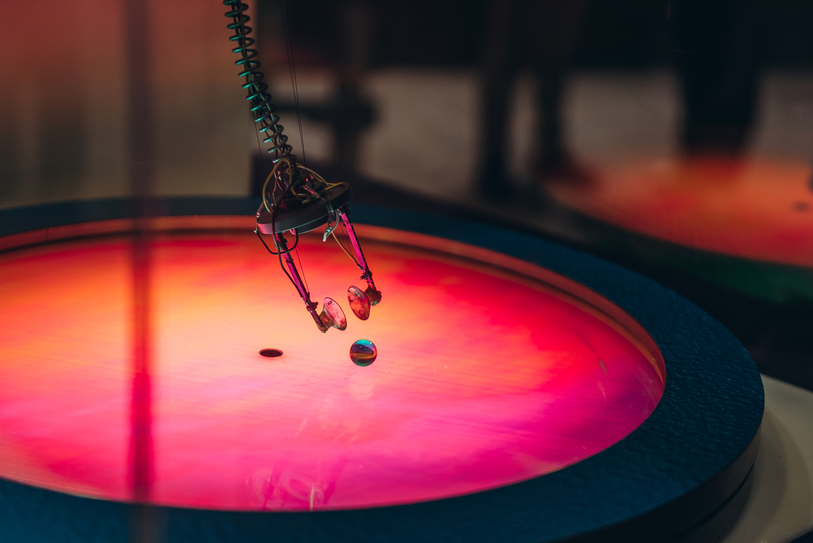 Відкриття першого в Україні наукового цирку image-7