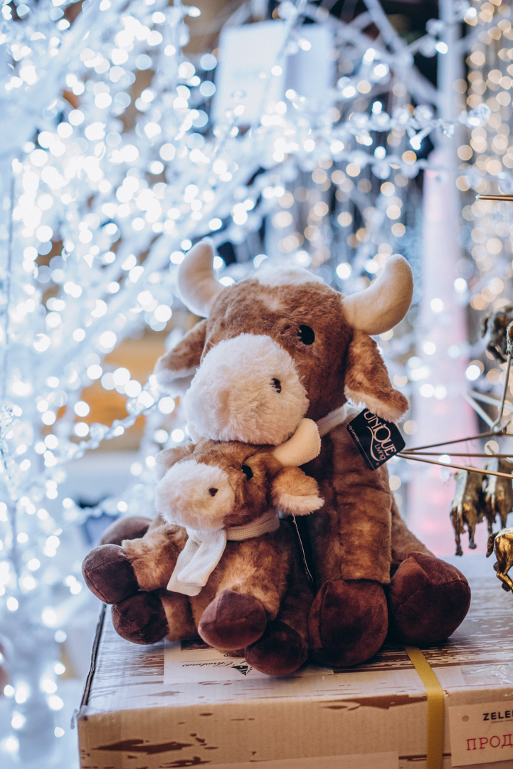 День Святого Миколая 2020 в Gulliver - фотогалерея від ТРЦ Гулівер image-18